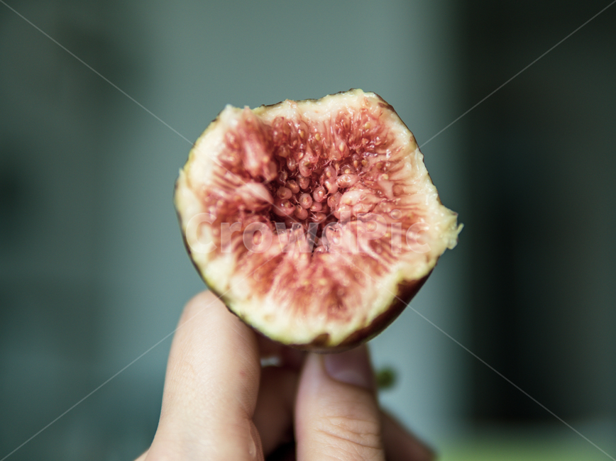 무화과,과일,단면,무화과꽃,과육,채소,야채,식재료,음식,디저트,신선하다,맛있다,과즙,식감,생무화과,열매,과실,고급과일,별미,식물,손,fig,hand,fruit,vegetable,ingredients,fresh,flesh,과일,열매,fruit