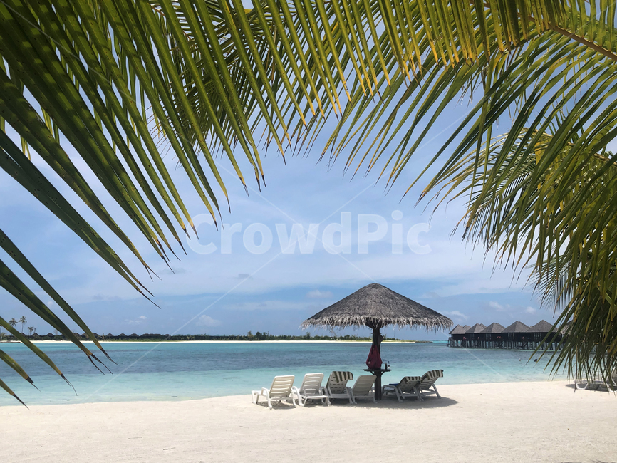 몰디브,maldives,휴양지,섬,island,하늘,colorful,sky,구름,cloud,자연,nature,바다,sea,로맨틱,romantic,휴가,voyage,ocean,대양,water,물,해안선,coast,연안,수평선,outdoors,옥외,여유,rest,휴식,방갈로,bungalow,파라솔,parasol,의자,chair,tropical,트로피칼,palm,야자나무,leaf,나뭇잎,summer,sand,sandbeach,여름,트로피컬,해변,바다,beach,sea