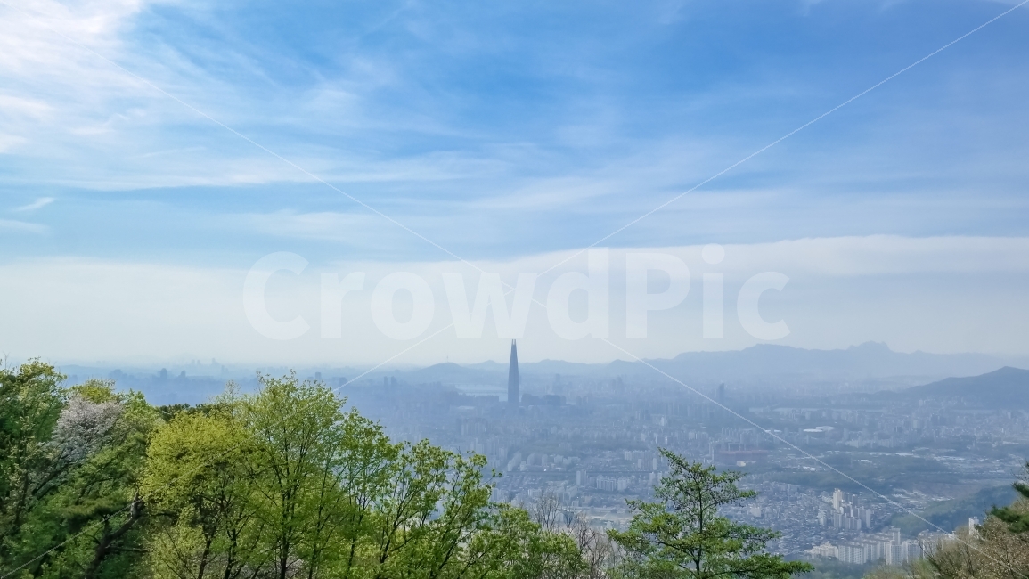 도시,풍경,서울,빌딩,빌딩숲,buiding,blue,파란색,초록색,대비,롯데타워,월드타워,광각,구름,하늘,나무,식물,도시,풍경,city,landscape,nature,자연,scenery,outdoors,옥외,경치