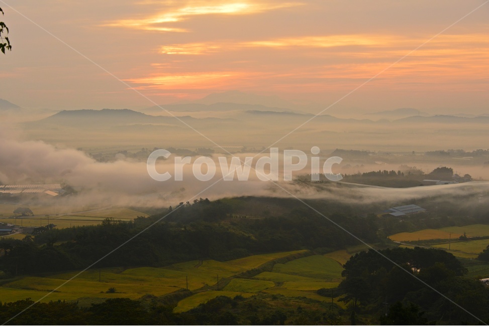 함평,밀재,밀재여명,밀재아침,운해,nature,자연,outdoors,옥외,scenery,풍경,landscape,경치,자연,풍경,nature,landscape