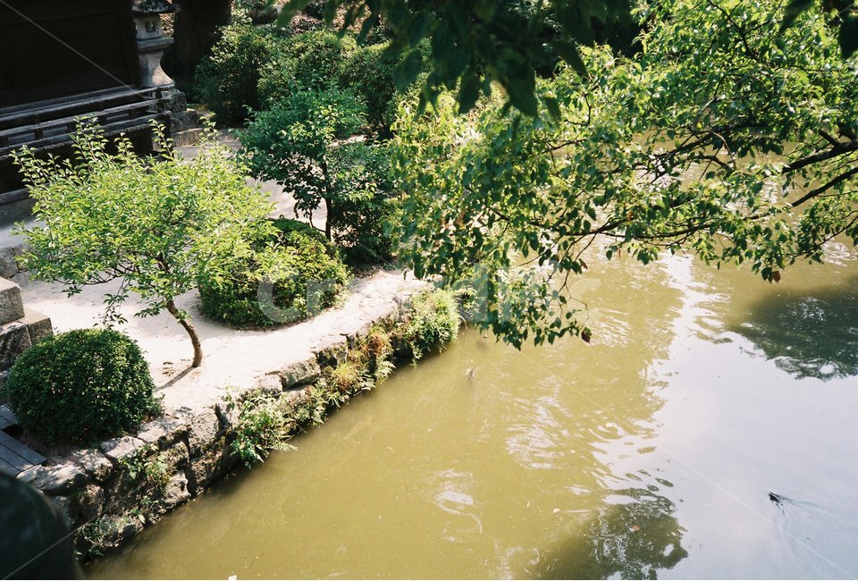 연못,공원,풍경,필름사진,감성,여름,자연,풍경,nature,landscape,해외,외국,세계,foreign,oversea,world,세계자연풍경,해외자연풍경,외국자연풍경,world nature landscape,감성,sensible,feeling,휴식,힐링,rest,relaxation,healing,outdoors,옥외,water,물