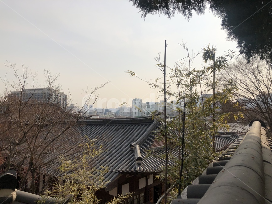기와,지붕,기와지붕,전통,한옥,전통가옥