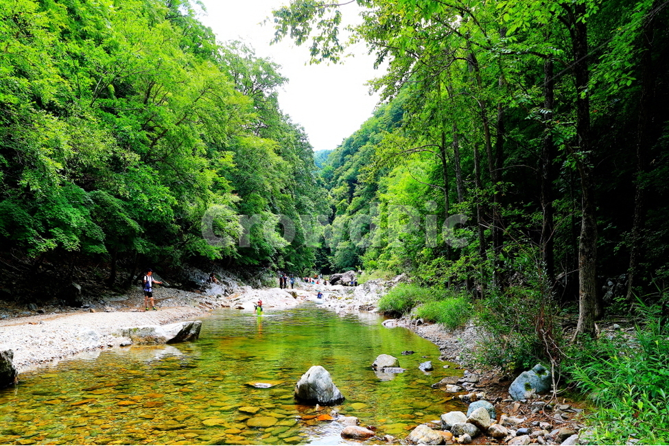조경동계곡,방동약수,계곡,방태산,아침가리골,여름,계절,summer,season,자연,풍경,nature,landscape,사람들,대중,군중,other people,crowd,water,물,outdoors,옥외,stream,흐름,creek,작은 만