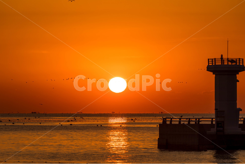 일출,여명,등대,해,아침,오메가,오여사,자연,풍경,nature,landscape,등대,lighthouse,실루엣,그림자,silhouette,shadow