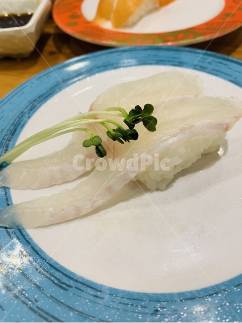 광어,광어초밥,회전초밥,초밥,무순