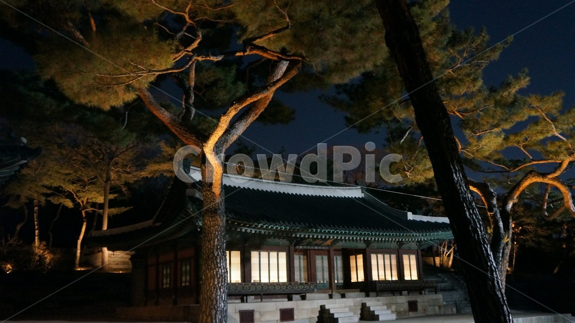 창경궁,고궁,경복궁,야간개장,궁,야경,밤,풍경,nightscape,night,landscape,랜드마크,landmark,tourist attraction,한국랜드마크,한국관광지,한국명소,korea landmark,korea tourist attraction,architecture,건축물,building,건물,worship,예배,shrine,신사,pagoda,탑