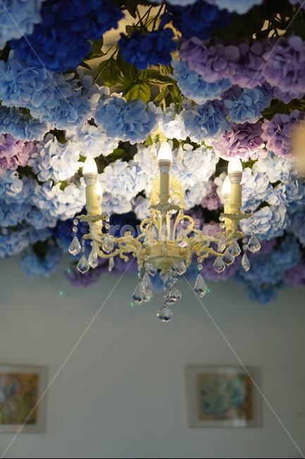 로즈스텔라카페,샹들리에,수국,내부,인테리어,인테리어,실내디자인,interior design