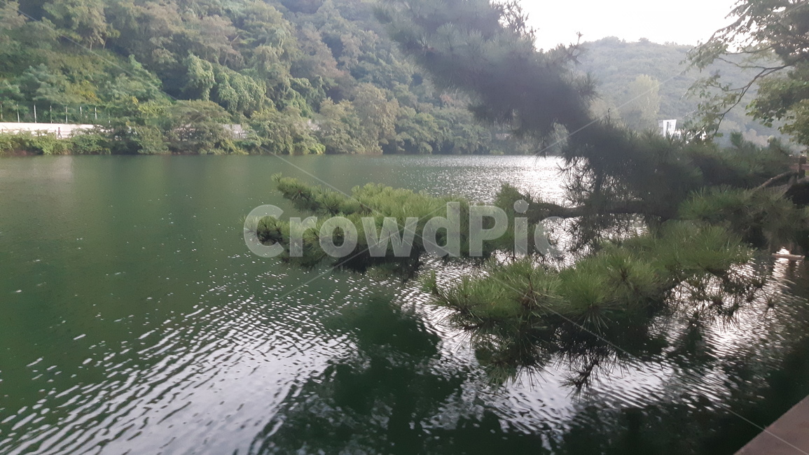 outdoors,nature,땅,water,물,land,나무,호수,저수지,산,초록색,자연,정글