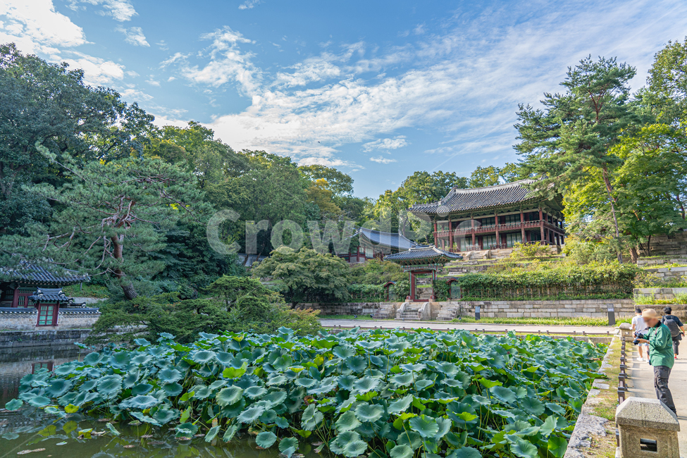 창경궁후원,고궁,건물,palace,창경궁,한국전통,한국문화,korean traditional,korean culture,건축물,건물외관,exterior,building,structure,architecture,construction