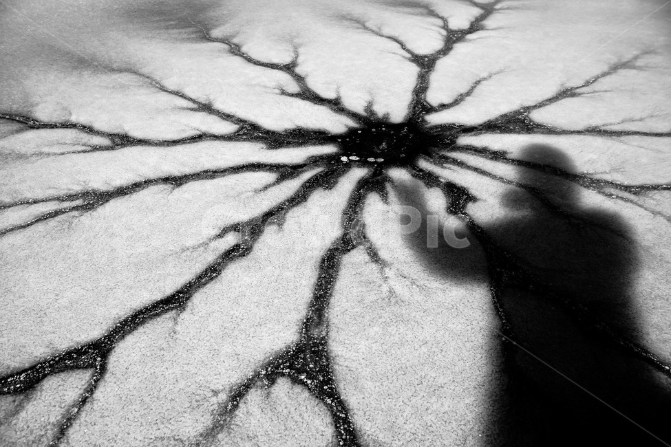 겨울,얼음,얼음판,균열,그림자,감성놀이,자연,겨울,계절,winter,season,사람,인물,인간,human,person,신체일부,몸,body,흑백,모노톤,monochrome,black and white