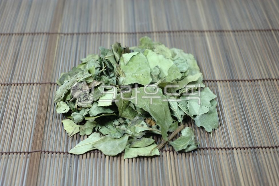 한방차,허브티,건강차,원물,꾸지뽕,나무잎,구지뽕,구찌뽕,꾸찌뽕,말린,건조,plant,식물