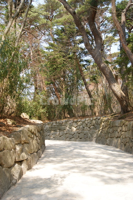 자연,풍경,landscape,nature,휴식,rest,season,산책,산책로,돌길,경주,나무