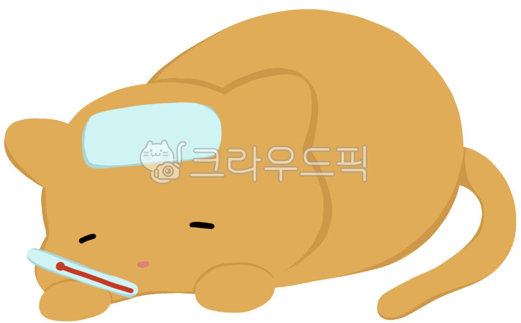 cat,vet,sick,cold,animal,pet cat,pet dog