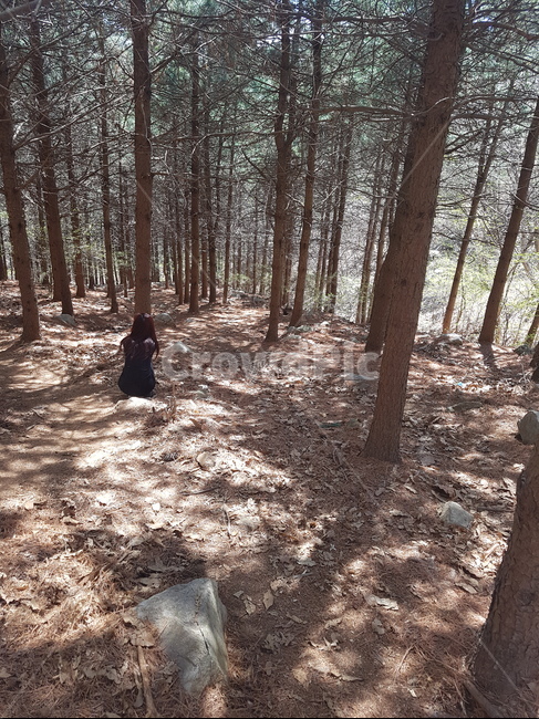 고려산,강화,산책,등산,섬