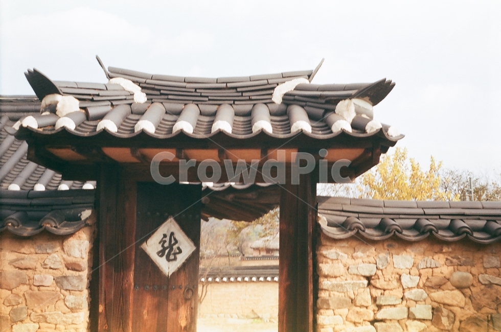 한옥,대문,기와,하회마을,가을,안동,필름사진,은행,담벼락,배경,감성,roof,지붕