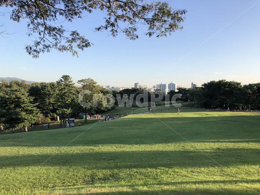 올림픽공원,공원,올림픽,서울,하늘,sky,park,자연,풍경,nature,landscape,사람들,대중,군중,other people,crowd,grass,잔디,plant,식물,field,들