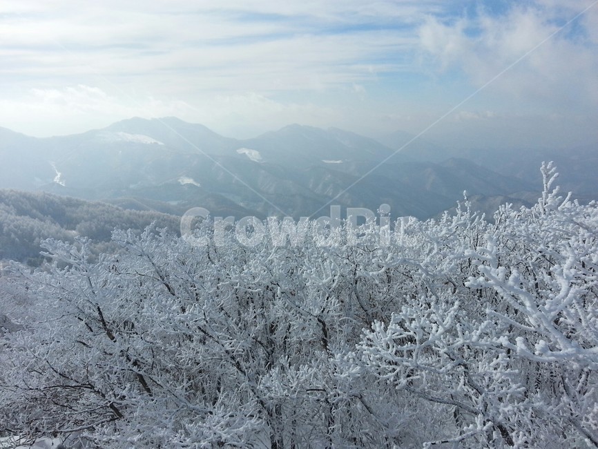 겨울,눈,설산,눈쌓인나무,설경,눈꽃,snow,winter,white,mountain,frost