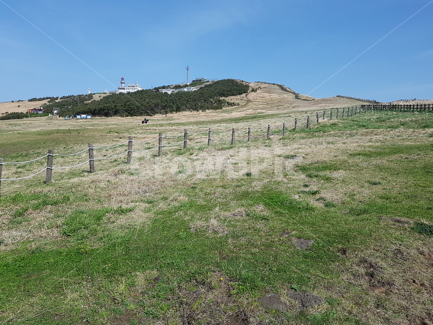 제주도,우도,우도에서바라본성산일출봉,성산일출봉,우도와성산일출봉,우도정상,돌담,보리밭,청보리밭,보리밭과마을,섬과바다,갈대,억새,자연,풍경,nature,landscape,한국자연풍경,한국자연경관,korea nature landscape,제주도,jeju,jeju island,outdoors,옥외,grassland,목초지,field,들,ground,바닥,mound,투수판