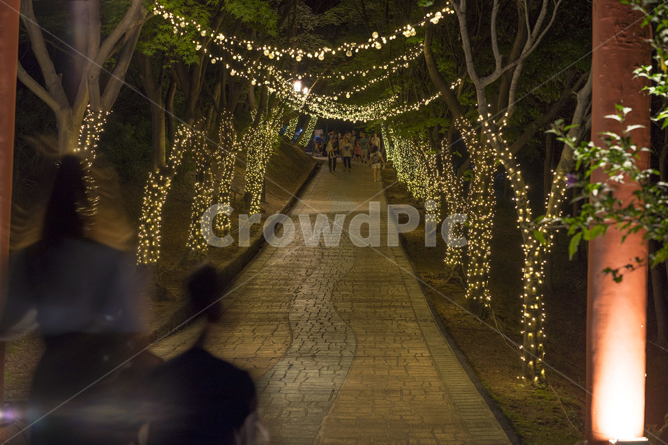 조명,야경,야행,밤,저녁,야경,밤,풍경,nightscape,night,landscape,사람들,대중,군중,other people,crowd,축제,행사,festival,carnival,event,path,통로,porch,현관,patio,안마당,walkway,보도,outdoors,옥외,garden,정원,pergola,페르 골라