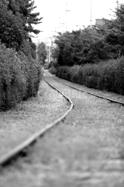transportation,rail,레일,철도,railway,기찻길,traintrack
