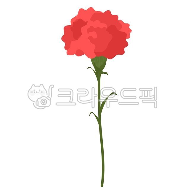 카네이션,어버이날,가정의달,스승의달,꽃,그래픽,아트,감사,고마움,스승,carnations,parentsday,familymonth,teachersmonth,flowers,hands,graphics,art,thankyou,teacher
