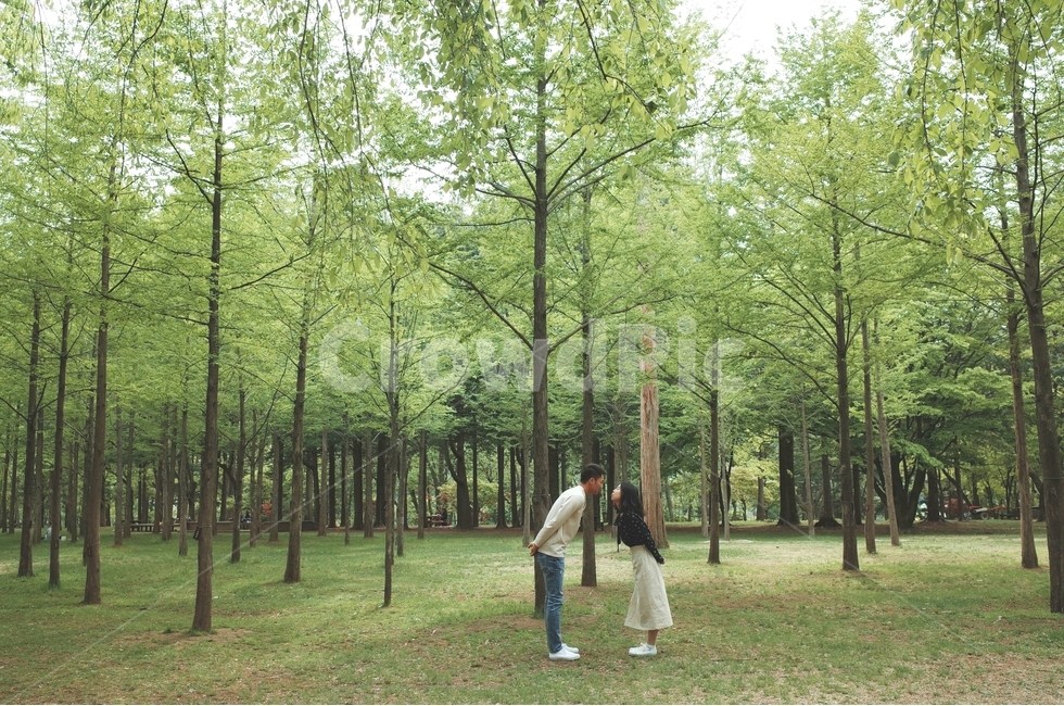 자연,인물,초록,감성,풍경,커플,식물,자연,plants,nature,나무,trees,wood,사람,인물,인간,human,person,연인,커플,사랑,lover,couple,감정표현,기분,feeling,emotion