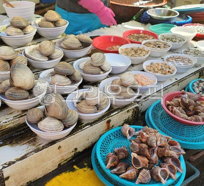 백합,백합조개,어패류,소라,고동,고둥,조갯살,조개,수산물,해산물,어물,씨푸드