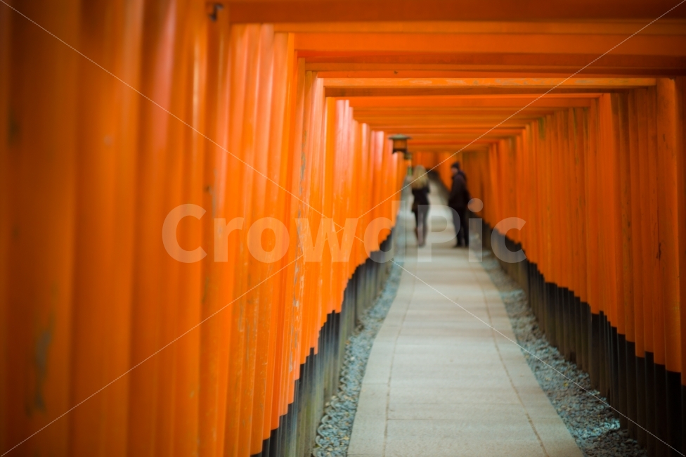 그리움,길,연인,주황색,빨강색,토리이,일본,교토,후시미이나리신사,여행,trip,couple,road,red,torii,people,hope,memory,missing,japan,kyoto,FushumiInariShrine,해외,외국,세계,foreign,oversea,world,랜드마크,landmark,tourist attraction,종교,신앙,religion,belief,faith,예술,art,감성,sensible,feeling,색깔,색상,색채,색감,color sense,color sensitivity,feeling of color