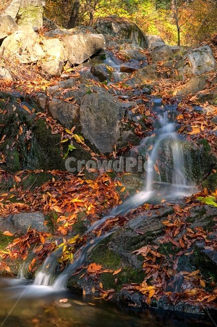 계곡,무지랭이계곡,경기도,경기북부,의정부,자연,가을,autumn,fall,11월,낙엽,물,water,나무,바위,돌,암석,tree,nature,rock,valley,fallen,leaf,잎,식물,plant,이파리,단풍,한국,한국자연,korea,november,leaves,가을,계절,fall,autumn,season,자연,풍경,nature,landscape