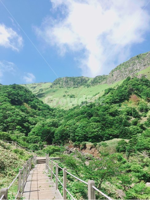 한라산,등산,산,운동,산책,자연,대자연