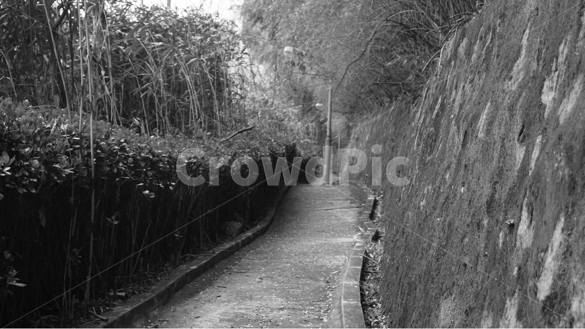 흑백사진,공원,산책,휴식,감성사진,골목길,alley,흑백,모노톤,monochrome,black and white,path,통로,road,도로
