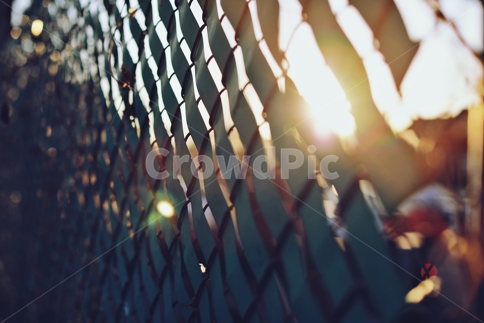 철조망,햇빛,플레어,barbedwirefence,sunlight,flare,감성,sensible,feeling