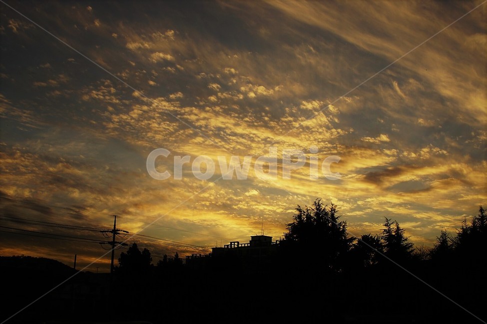 일몰,저녁놀,해질녁,하늘,나무,자연,풍경,자연풍경,sky,trees,석양,빛,자연,풍경,nature,landscape,실루엣,그림자,silhouette,shadow,outdoors,옥외