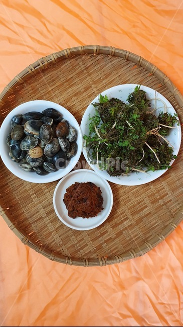 된장국,냉이,바지락,된장,채반,식재료,집된장,해감,봄,soybeanpaste,dryingtray,manilaclam,shepherdspurse,한식,된장찌개,전통,음식,식재료,요리,food,cook,meal,dishes,food reserves