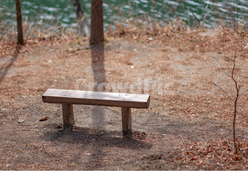 벤치,공원,휴식,강,물,풍경,호수,아름다운,잔디,배경,정원,집밖의,숲,시즌,봄,냇가,장면,옥외,기분전환,나무,전망,길,자연,평화로운,빈의자,조용한,돌,산책,아름다움,빈,도로,대기,혼자,bench,park,rest,river,nature,water,landscape,lake,beautiful,grass,background,tree,garden,outdoor,forest,relax,season,wooden,spring,path,scene,outdoors,relaxation,trees,view,way,sunny,natural,peaceful,seat,tranquil,stone,walk,beauty,empty,road,wait,alone,겨울,winter,자연,풍경,nature,landscape
