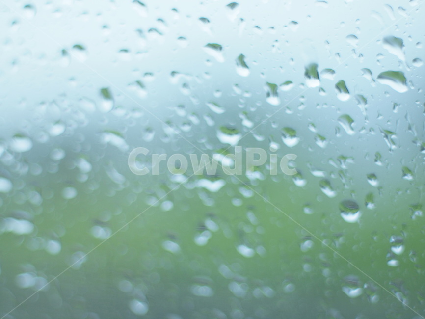 감성,비,물방울,여름,보케,접사,rain,summer,비,비오는날,rain,rainy