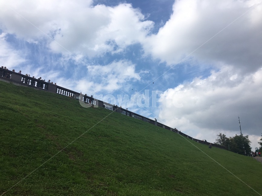 언덕,참새,러시아,모스크바,잔디,자연,풍경,nature,landscape,grassland,목초지,field,들,outdoors,옥외,plant,식물,grass