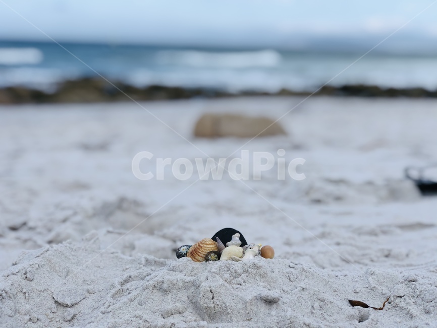 해변,조개,비치,friendlybeach,seashells,background,beach,beautiful,black,blue,closeup,coast,feather,freycinetnationalpark,friendlybeaches,lake,natural,nature,ocean,outdoor,seashell,outdoors,sea,sky,summer,tasmania,water,white,wild,wildlife,해변,바다,beach,sea
