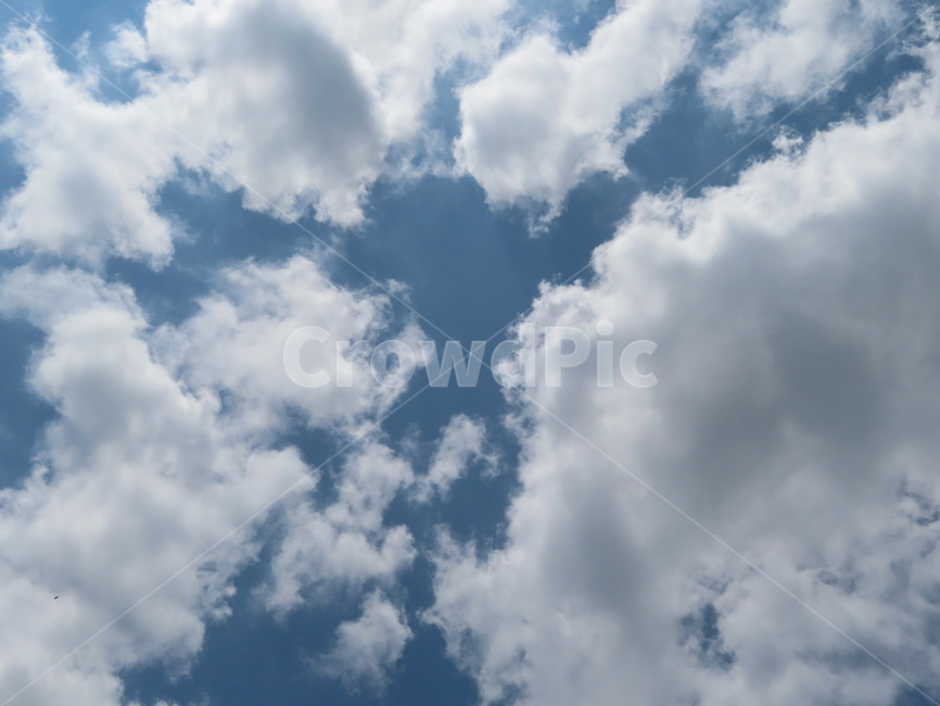 구름,하늘,자연,흰색,파랑색,아름다움,풍경,cloud,sky,white,blue,beauty,nature,scenery