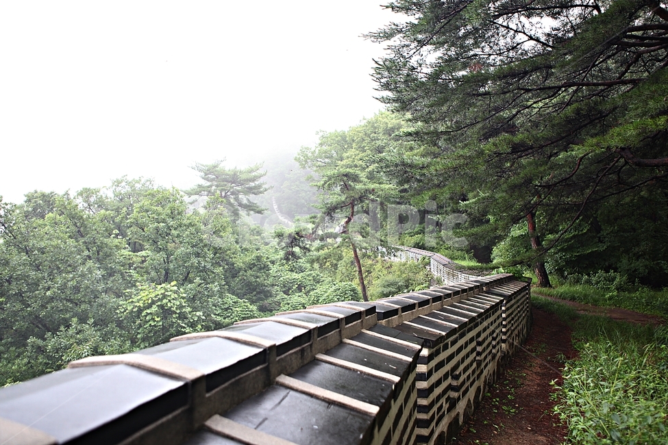남한산성,성,성곽,숲,숲길,길,둘레길,안개,돌담,담,벽,여름,풍경