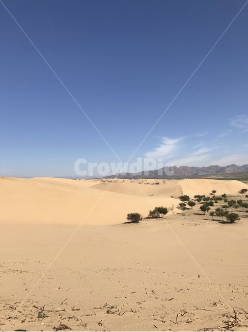 흙,모래언덕,모래,자연,soil,outdoors,자연,풍경,nature,landscape,sand,옥외,dune,모래 언덕