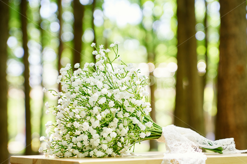 부케,꽃,정물,결혼,로맨틱,조화,공원,식물,사랑,꽃,flower,결혼,혼례,웨딩,wedding,marriage,marry,기념일,축하,anniversary,congratulation,celebrate,celebration