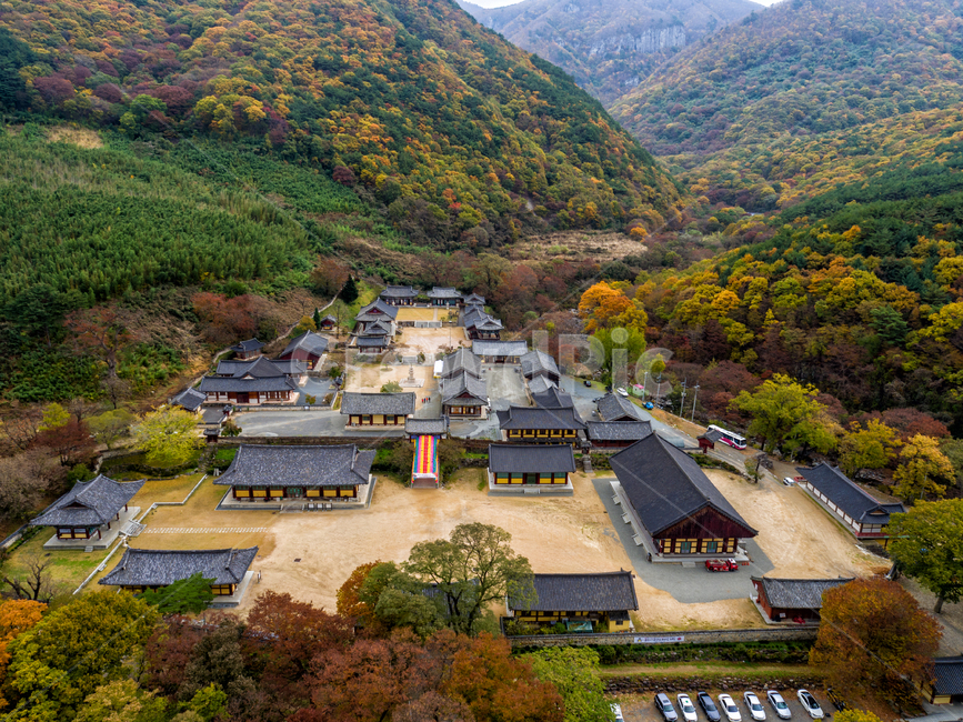 표충사,사찰,불교,유적지,밀양,한국전통,한국문화,korean traditional,korean culture,종교,신앙,religion,belief,faith,건축물,건물외관,exterior,building,structure,architecture,construction