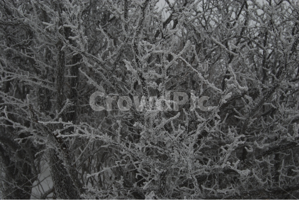 등산,계방산,힐링,자연,겨울,겨울산행,감성,풍경,계절,겨울이미지,겨울,계절,winter,season