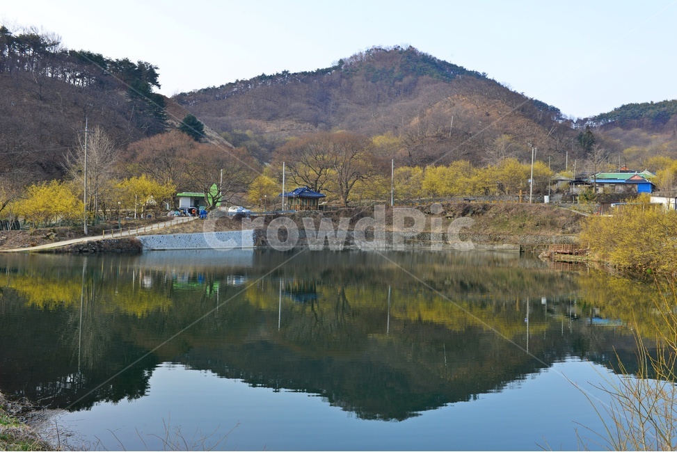 전남,구례,산동,산수유마을,산동산수유마을,산수유,산수유꽃,현천마을,저수지,반영,봄,계절,mountainrange,산맥,mountain,산,nature,자연,water,물,outdoors,옥외,자연,풍경,nature,landscape
