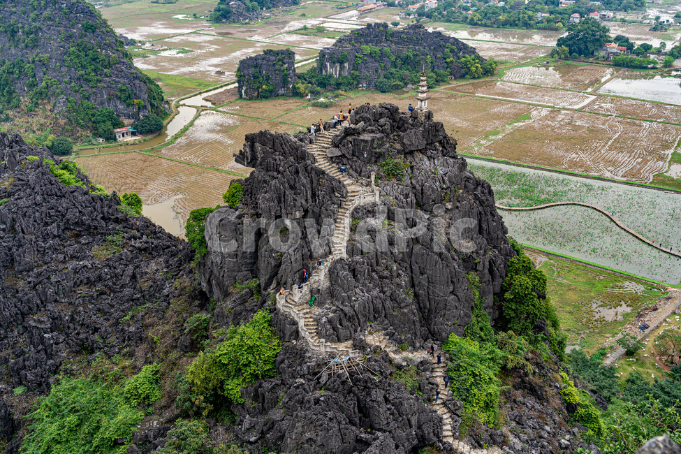 nature,자연,scenery,풍경,landscape,경치,vietnam,ninhbinh,닌빈,베트남