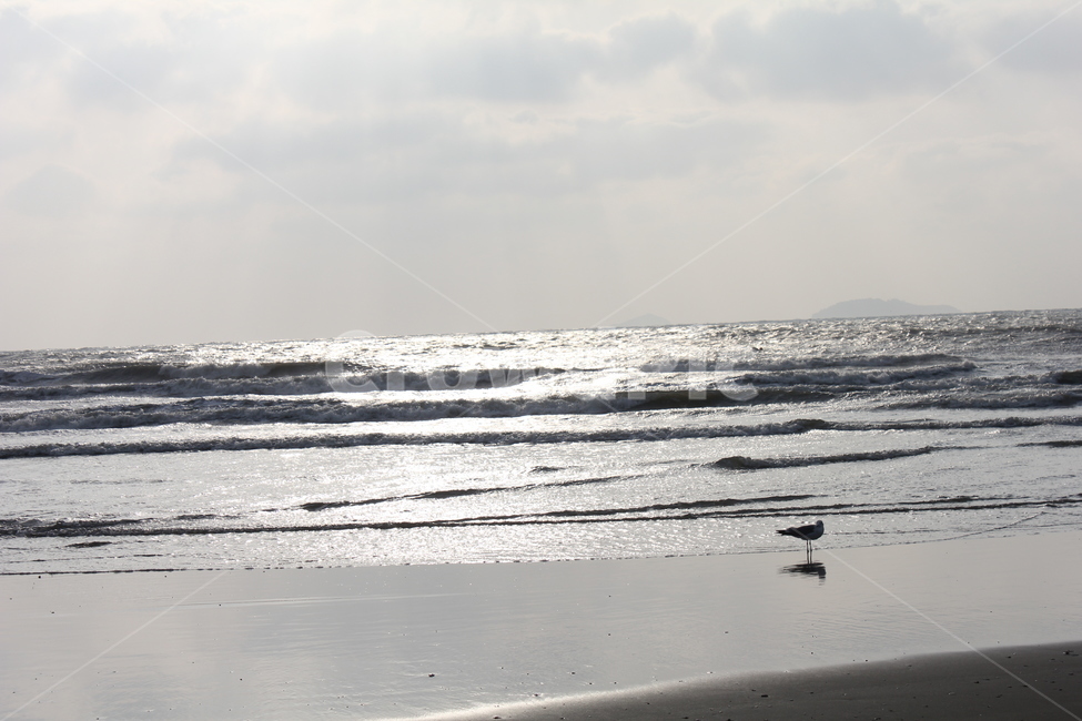 바다,하늘,구름,파도,sea