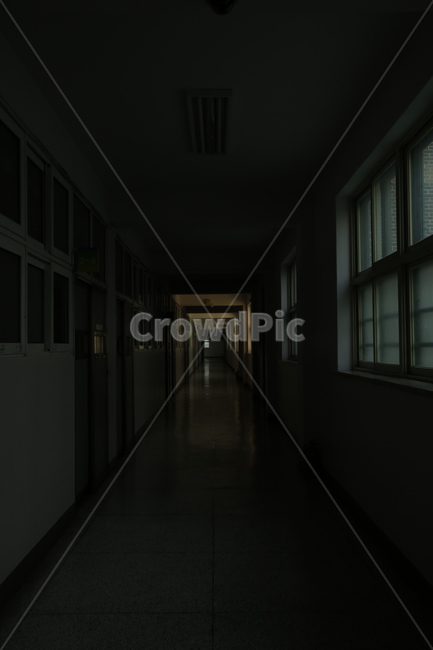 On campus,corridor,school,palm,school scenery,school hallway,after school