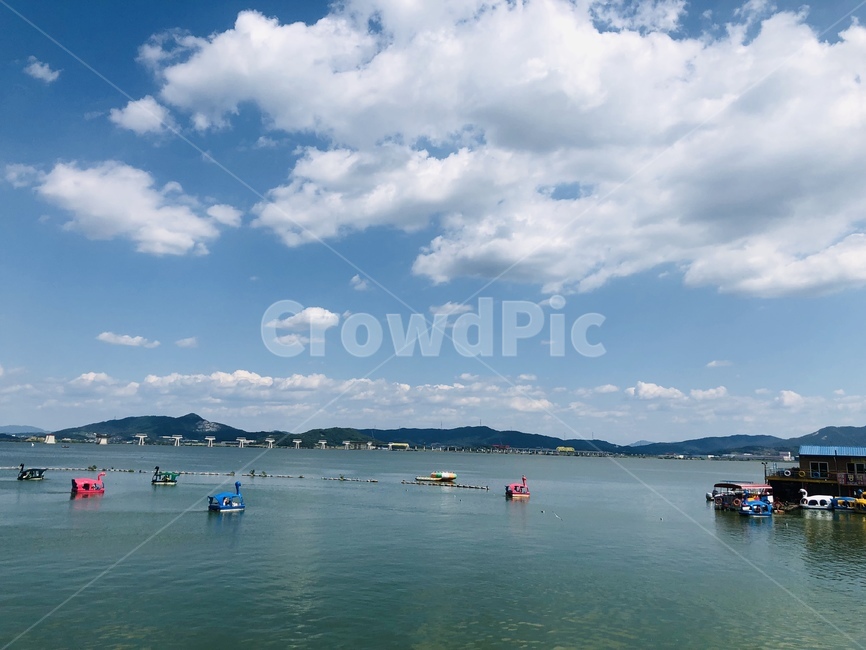 nature,자연,water,물,outdoors,옥외,바다,오리배