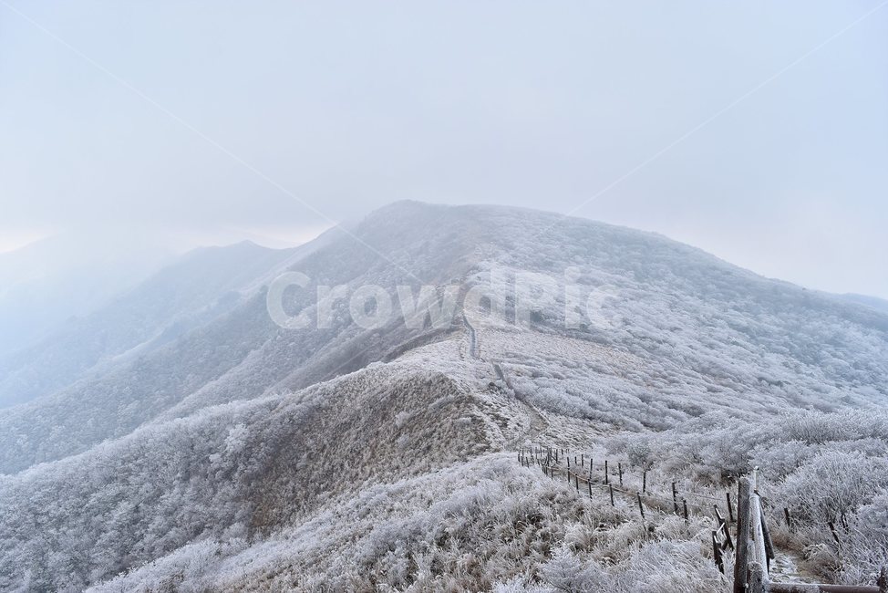 소백산,눈꽃풍경,상고대,겨울풍경,국립공원,겨울동화,힐링,감성,아름다움,뷰티풀,설국,눈풍경,100대명산,겨울명산,설경,서리꽃,snow,landscape,눈,화이트,자연,신비로운,경이로운,천상,비경,치유,산,명산,자연풍경,늦가을,영주,단양,겨울,계절,winter,season,자연,풍경,nature,landscape,한국자연풍경,한국자연경관,korea nature landscape,outdoors,옥외